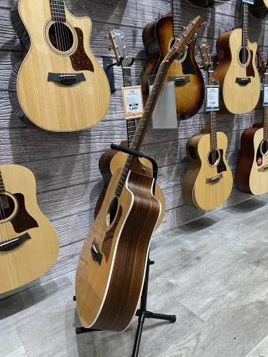 Taylor Guitars - 210CE 2008 2